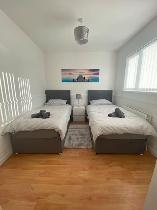 Modern Two Bed House Close To City Centre بلفاست المظهر الخارجي الصورة